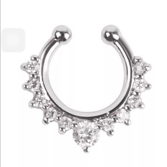 Septum Nose Ring (Fake)