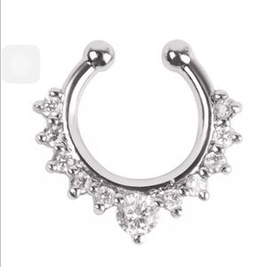 Septum Nose Ring (Fake)