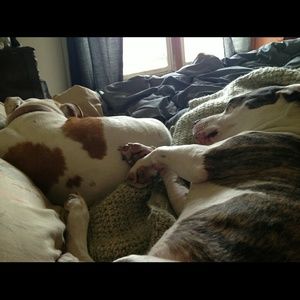 Meet your Posher, Christine