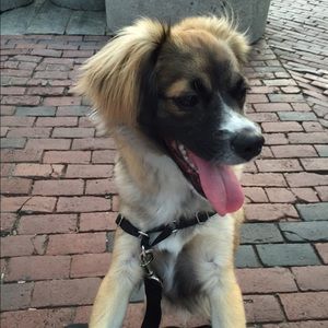 Meet your Posher, Ashley