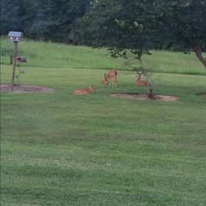 Meet your Posher, Patty