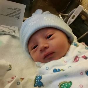 Meet your Posher, Shelly