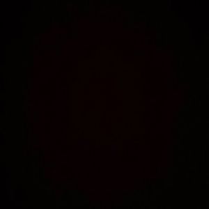 Meet your Posher, Anne