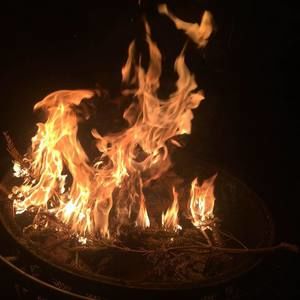 Meet your Posher, Ed