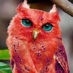 Meet your Posher, Kristin