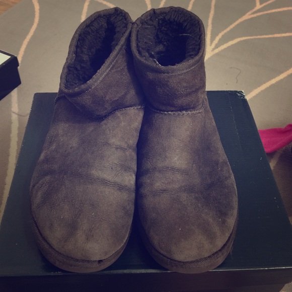UGG Shoes - Classic short uggs