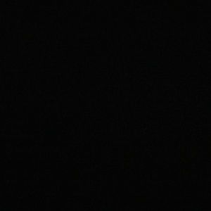 Meet your Posher, Lillie