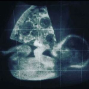 Meet your Posher, Kevin