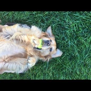 Meet your Posher, Jim