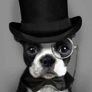 Meet your Posher, Liz