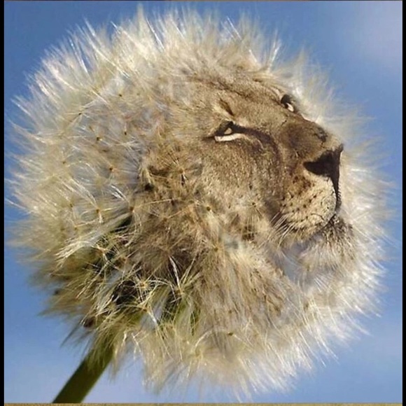 Meet your Posher, Michael - Picture 1 of 1