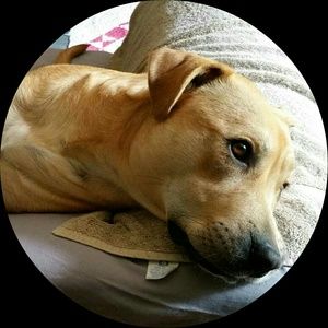 Meet your Posher, Undrea