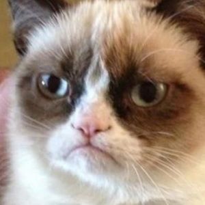 Meet your Posher, Henz