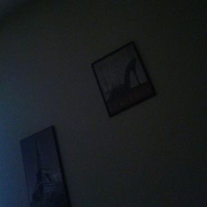 Meet your Posher, Evelyn