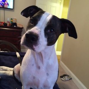 Meet your Posher, Tracey