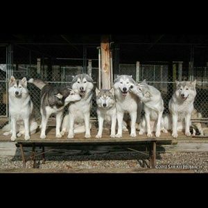 Meet your Posher, Nancy