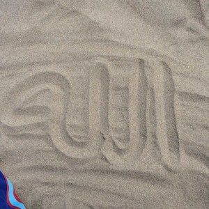 Meet your Posher, Penny