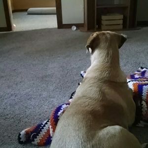 Meet your Posher, Kari