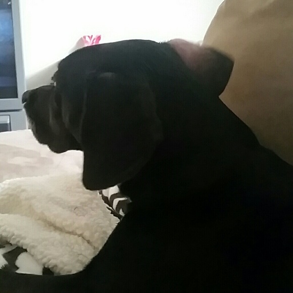 Meet your Posher, Jessica - Picture 1 of 1