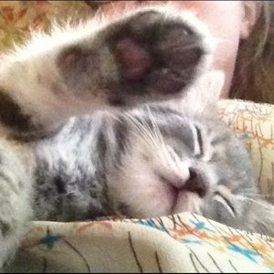 Meet your Posher, Erica