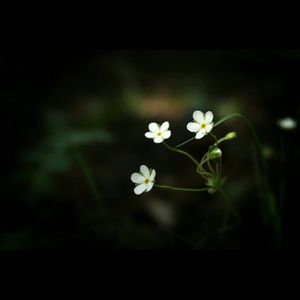 Meet your Posher, Lyndsay