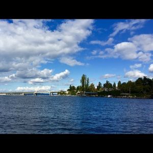 Meet your Posher, Alli