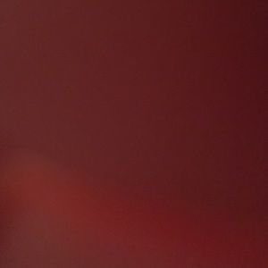 Meet your Posher, Lila