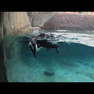 Meet your Posher, Karin