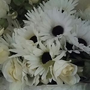 Meet your Posher, Bonita