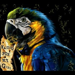 Meet your Posher, Greg