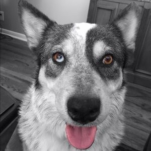 Meet your Posher, Clare