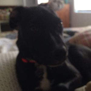 Meet your Posher, Hilary