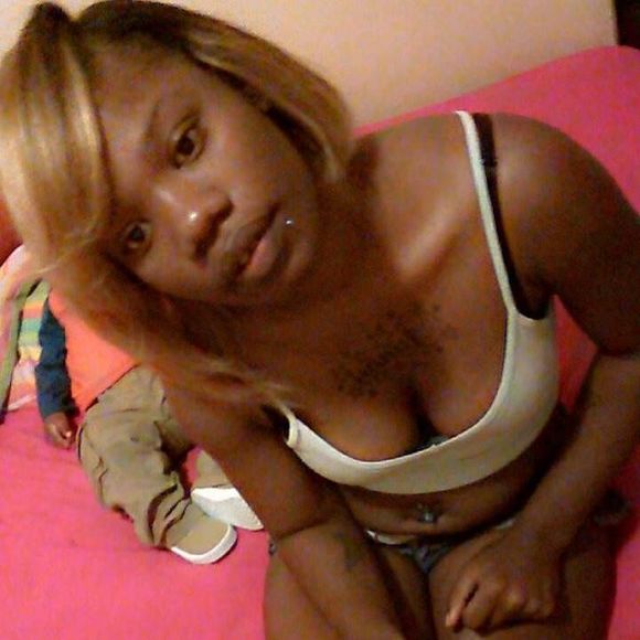 Meet your Posher, Sunny - Picture 1 of 1