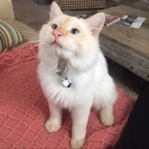 Meet your Posher, Katie