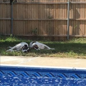 Meet your Posher, Kelley