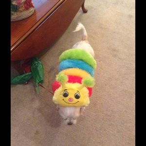 Meet your Posher, Belarmina