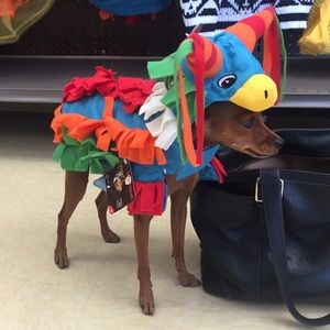 Meet your Posher, Danielle