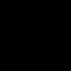 Meet your Posher, Savannah