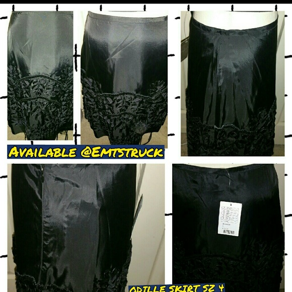 Anthropologie Skirt - Picture 1 of 4