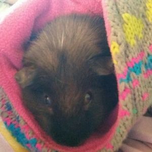 Meet your Posher, Elizabeth