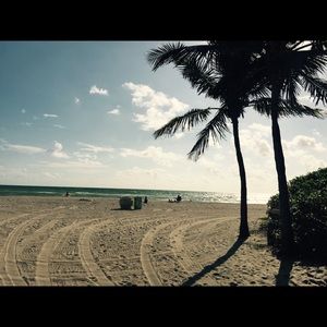 Meet your Posher, Holly