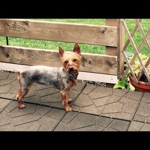 Meet your Posher, Donna