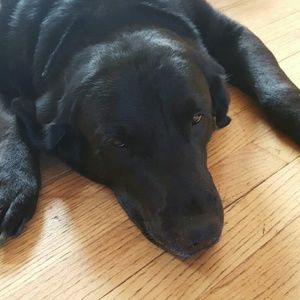 Meet your Posher, Cynthia