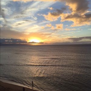 Meet your Posher, Molly