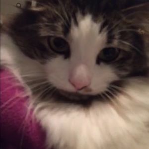 Meet your Posher, Cole