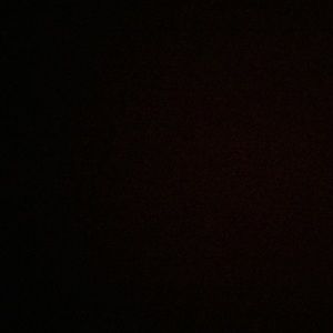 Meet your Posher, Jessie