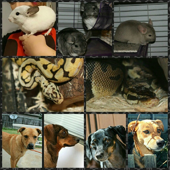 Get to know me - Picture 3 of 4