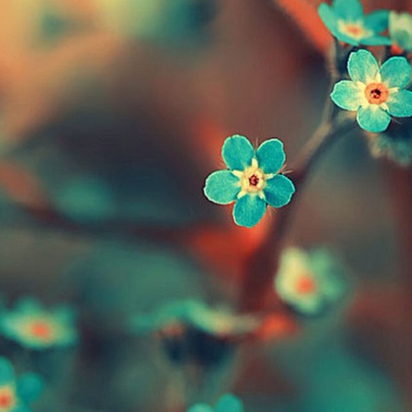 Meet your Posher, Mattie - Picture 1 of 1