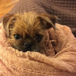 Meet your Posher, Carrie