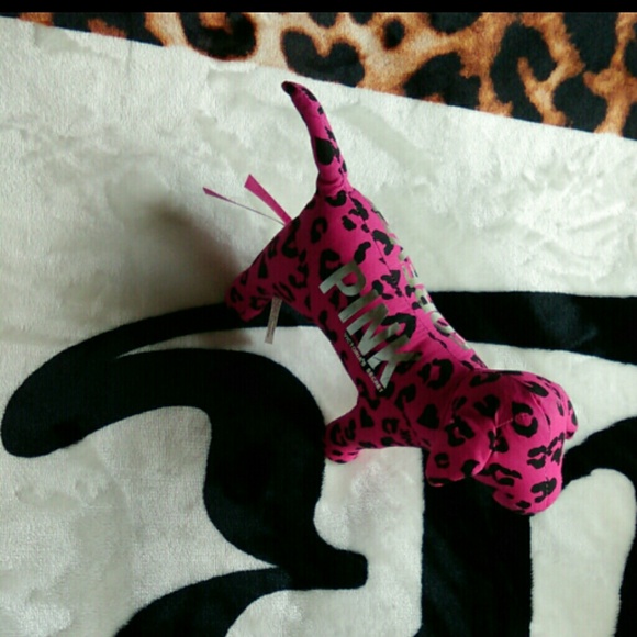PINK VS mini dog